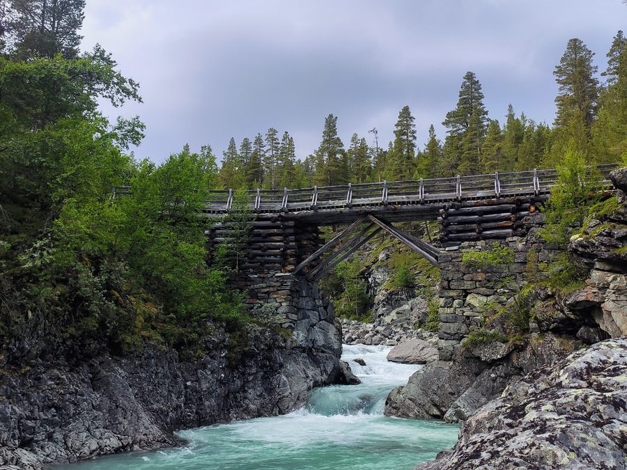 bridge over river between trees during daytime