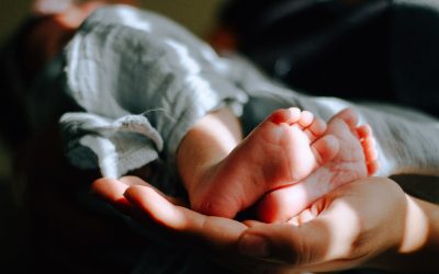 The Presence as gift 