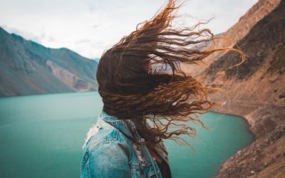 Blowin’ In the Wind