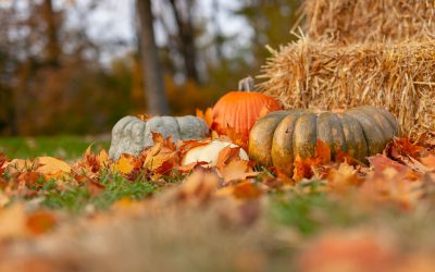 Oktoberfest in Church??