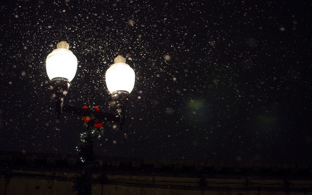 low-angle photo of 2-bulb lamp with snow falling during nighttime