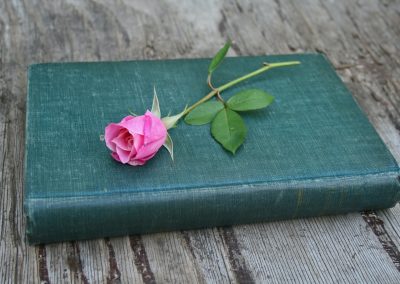 pink rose flower on closed green book
