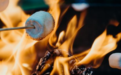 Do you smell what I smell?