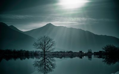 Twelve is a Whole Number