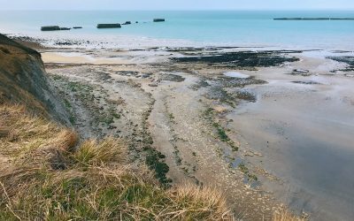 “Will you walk with me?”