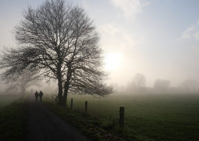 person walking on green grass field near bare trees during foggy day