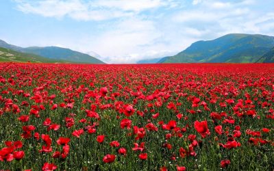 Good Advice for Today, Tomorrow and…