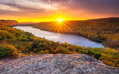 Our Resurrection Too