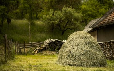 More than a needle in a haystack