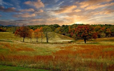 The promise of the seasons