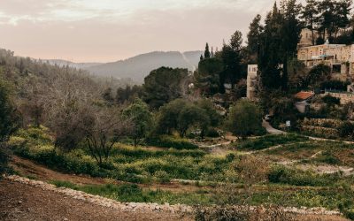 Lesson # 2,000 and something