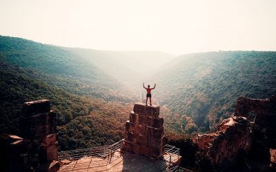 Who wants to be free?