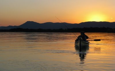 Some things never change