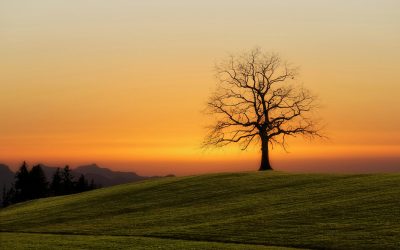Belonging to One