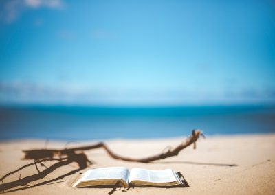 opened book near brown wood branch on sand under blue sky