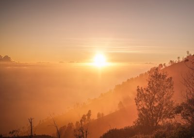 trees and mountain at sunrise
