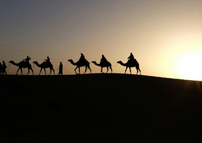 silhouette of people riding on camels