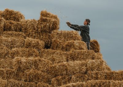 man in grey jacket on hay