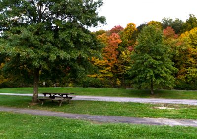 a park with a bench