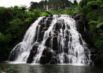 a large waterfall in the middle of a forest