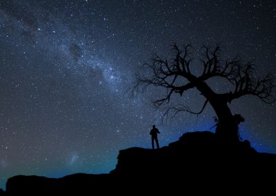 silhouette of person standing beside bare tree under stary sky
