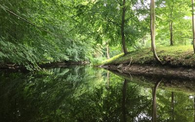 Finding our beginning