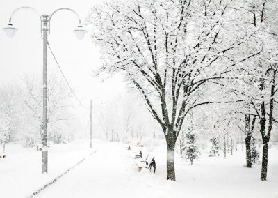 a snowy park with benches and street lamps