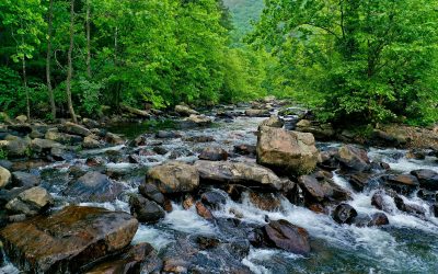 Streaming Grace