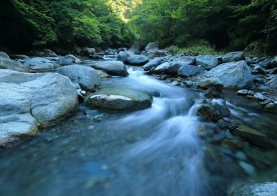 body river surrounded by dress