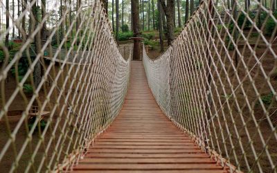 The Safety Net