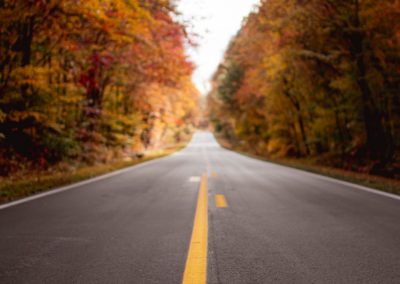 An empty road surrounded by trees in the fall