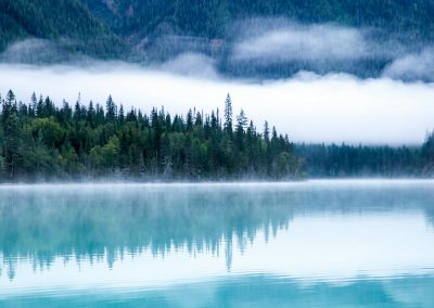 body of water surrounding with trees