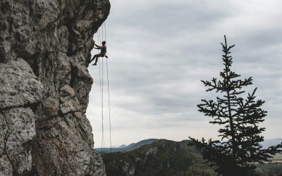 How far up do you want to climb?