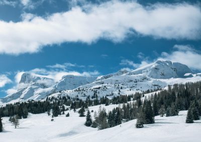 snow covered mountain and pine trees