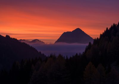 silhouette of trees during sunset