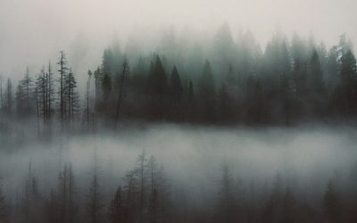 Fogged up mirrors?
