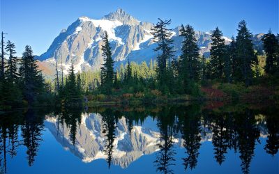 Mirror, mirror .  .  .