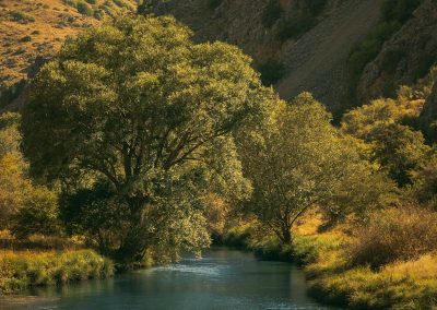 a river with trees and hills