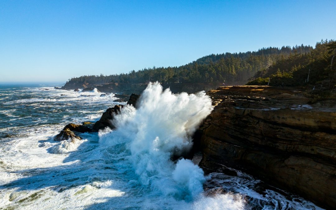 Hey, slow down! Wait for me!