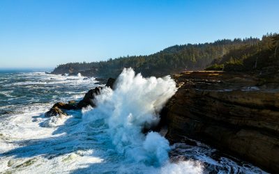 Hey, slow down! Wait for me!