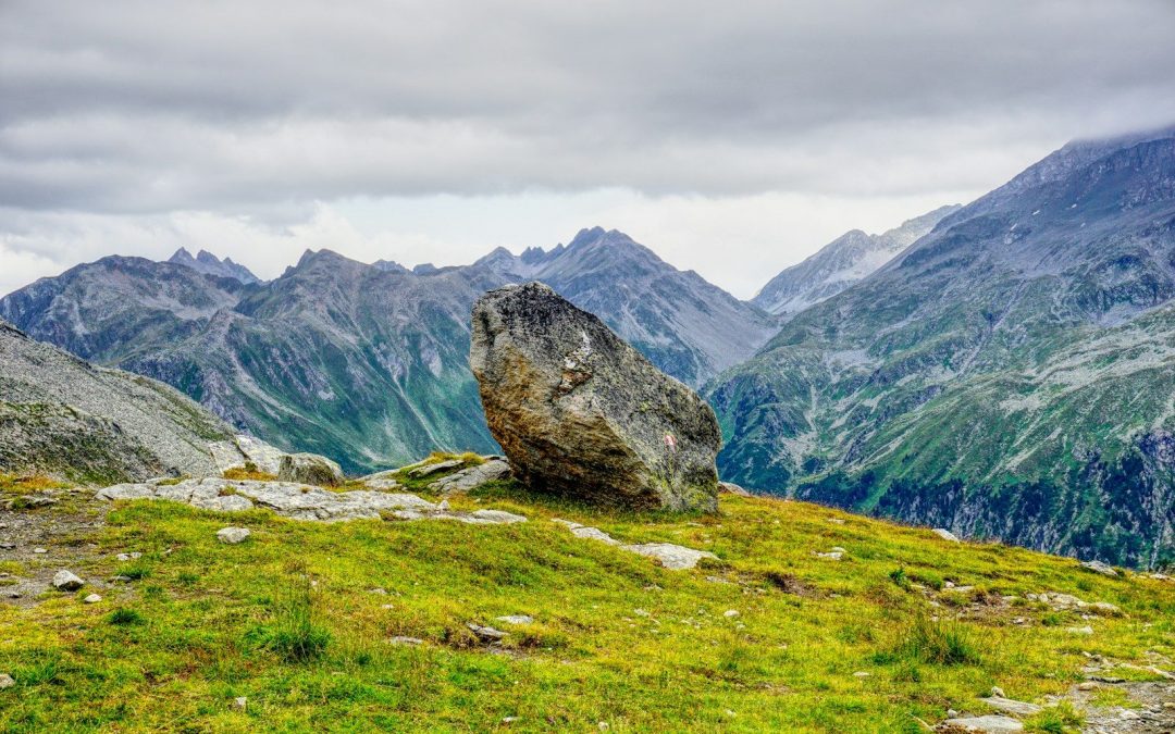 Whose idea was this?