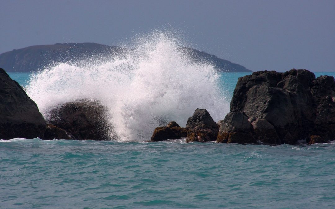 Where angels fear to tread