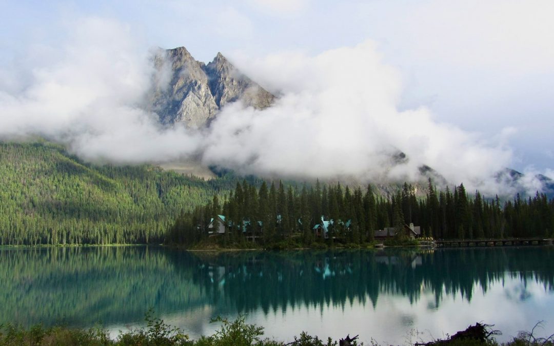 Wasn’t expecting that!