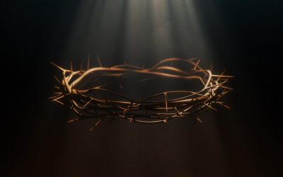 What a difference a day makes!