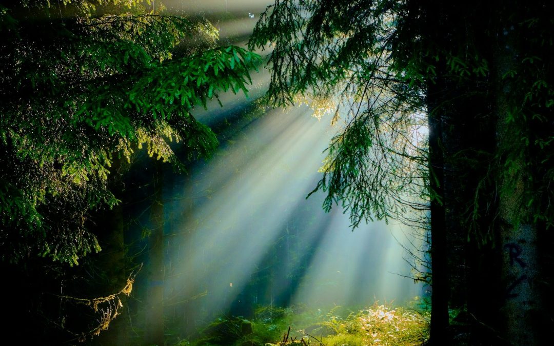 The light is shining through